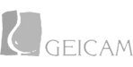Geicam